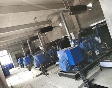 DB旗舰官方500KW/400V陆用发电机应用于某养殖场项目