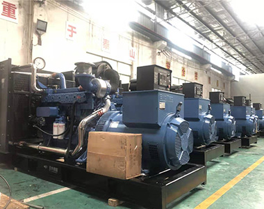 国内某养殖项目指定批量采用DB旗舰官方500KW/400V陆用发电机